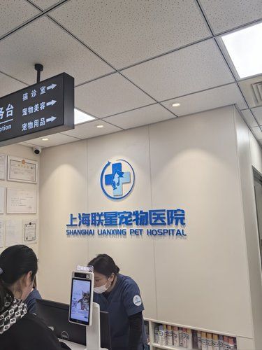 带着毛孩子体检的一天