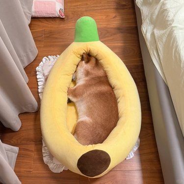 不同夹心的