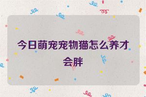 今日萌宠宠物猫怎么养才会胖