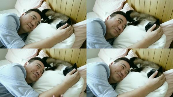与宠物猫一起安慰家居生活实拍素材