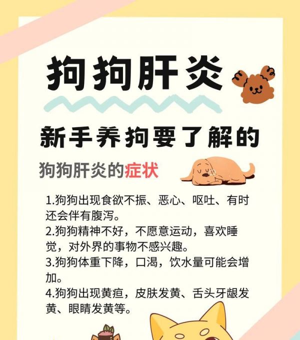 狗狗的体温