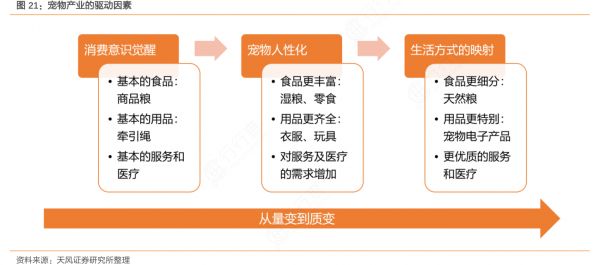 宠物产业的驱动因素