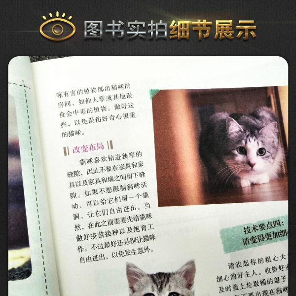 [正版]我的宠物书人气猫咪养成计宠物饲养管理参考指导书猫喵美容护理造型及驯化技巧书籍猫咪健康卫生科普教程书籍猫咪饲养高清大图