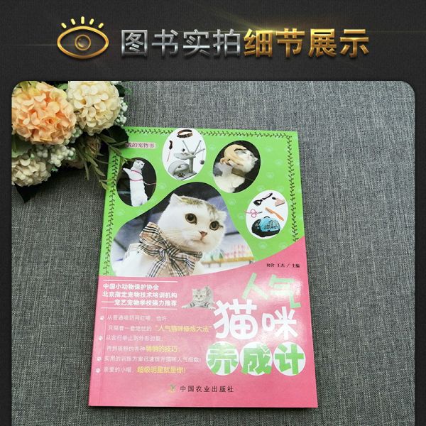 [正版]我的宠物书人气猫咪养成计宠物饲养管理参考指导书猫喵美容护理造型及驯化技巧书籍猫咪健康卫生科普教程书籍猫咪饲养高清大图