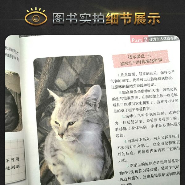 [正版]我的宠物书人气猫咪养成计宠物饲养管理参考指导书猫喵美容护理造型及驯化技巧书籍猫咪健康卫生科普教程书籍猫咪饲养高清大图