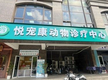 靠谱宠物医院推荐