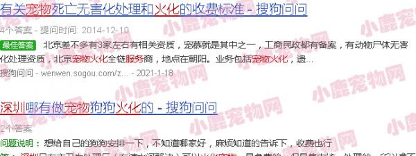 深圳宠物火化 24小时服务 200元起