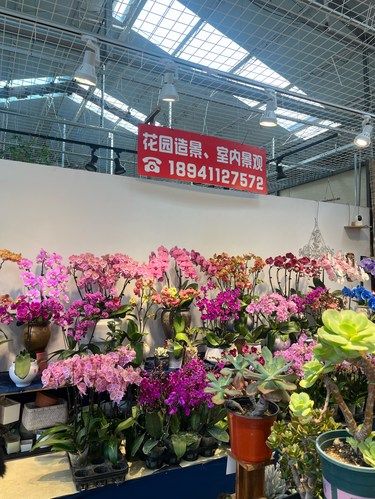 盆栽小世界