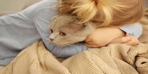 可以跟猫说话的软件 与猫交流的软件