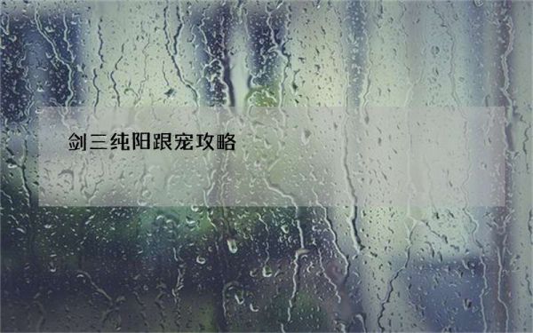 剑三纯阳跟宠攻略