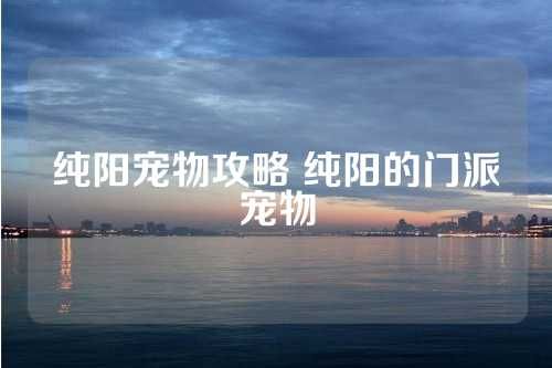 纯阳宠物攻略 纯阳的门派宠物 第1张