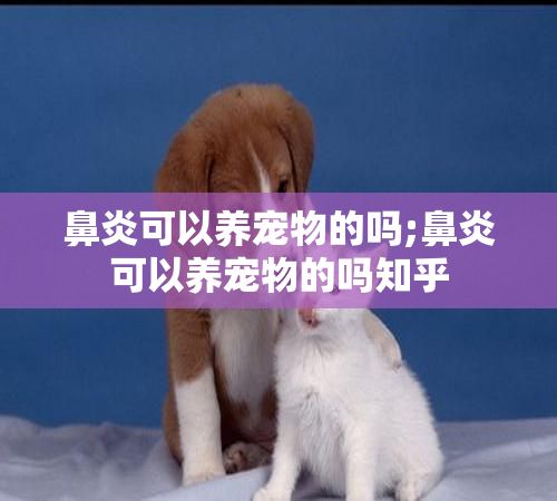 鼻炎可以养宠物的吗;鼻炎可以养宠物的吗知乎