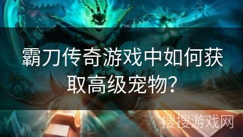 霸刀传奇游戏中如何获取高级宠物？