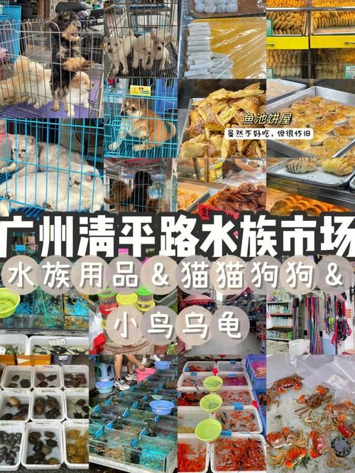 广州宠物市场?广州宠物市场在哪里!