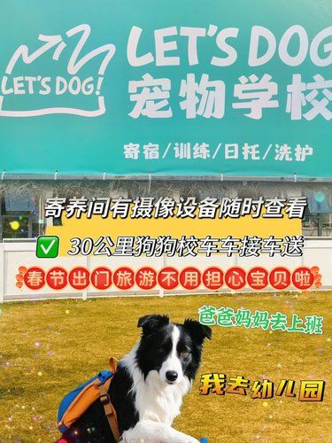 春节寄养宝藏地Let's Dog宠物学校