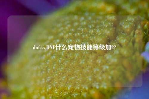 dnfsss,DNF什么宠物技能等级加2?