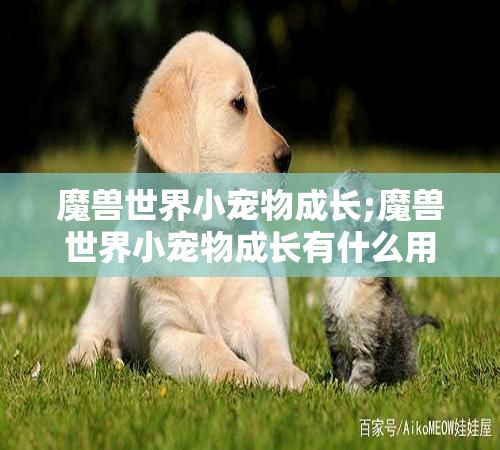 魔兽世界小宠物成长;魔兽世界小宠物成长有什么用