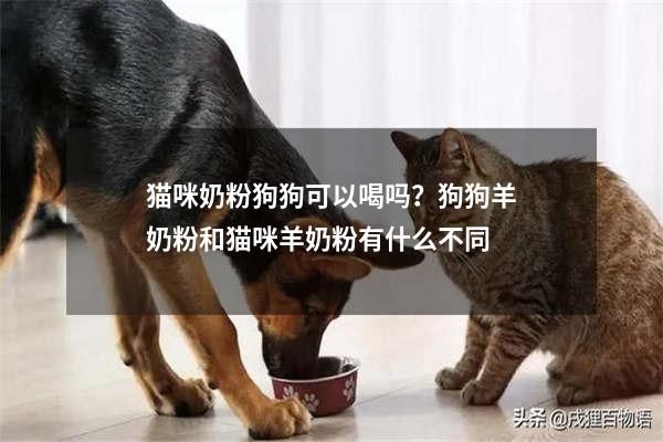 猫咪奶粉狗狗可以喝吗？狗狗羊奶粉和猫咪羊奶粉有什么不同