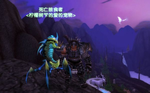 wow70级什么宠物最强_魔兽世界中哪种70级宠物最强大
