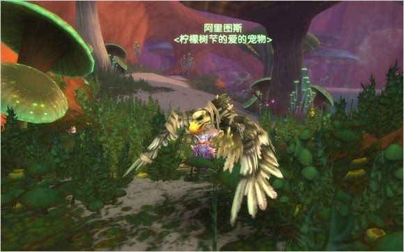 wow70级什么宠物最强_魔兽世界中哪种70级宠物最强大