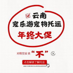 长春2025年云南宠物托运大促开启