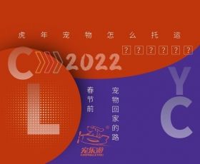 长春2020年春节宠物怎么托运