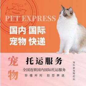 长春揭阳宠物托运公司