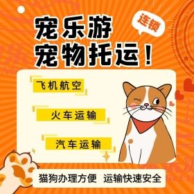 长春宠物怎么托运宠物托运流程