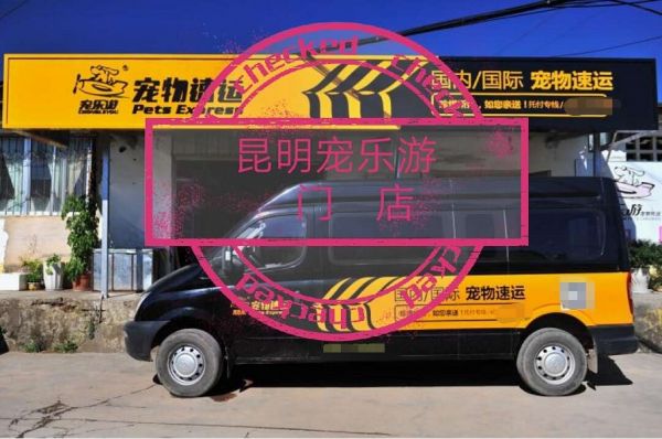 昆明宠物托运公司
