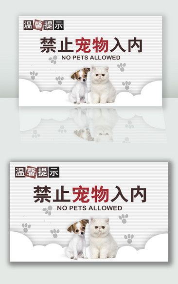 白色简约温馨提示禁止宠物入内
