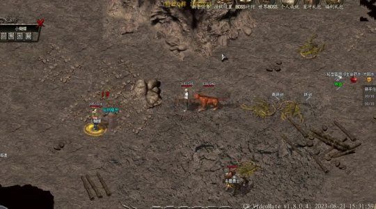  《单职业宠物麻痹传奇无双》新版本更新，醉拳熊猫引领潮流
