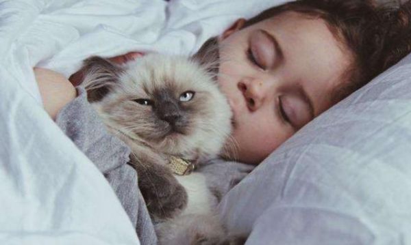 适合小朋友的宠物有很多，除了猫猫狗狗，这些动物也可以当作宠物