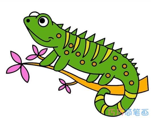变色龙的画法步骤图带颜色 变色龙简笔画图片