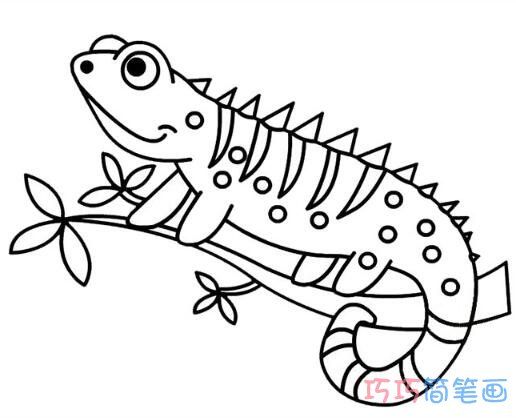 变色龙的画法步骤图带颜色 变色龙简笔画图片