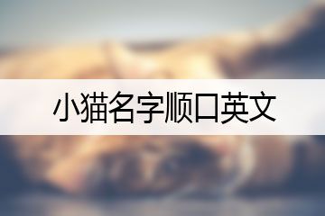小猫名字顺口英文