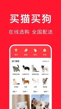 宠物宝官方下载