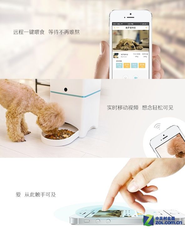 外出宠物无人管理？宠物宝助您一键搞定 