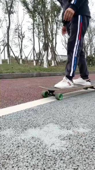 狗玩滑板 金毛露虎 勤劳宠物