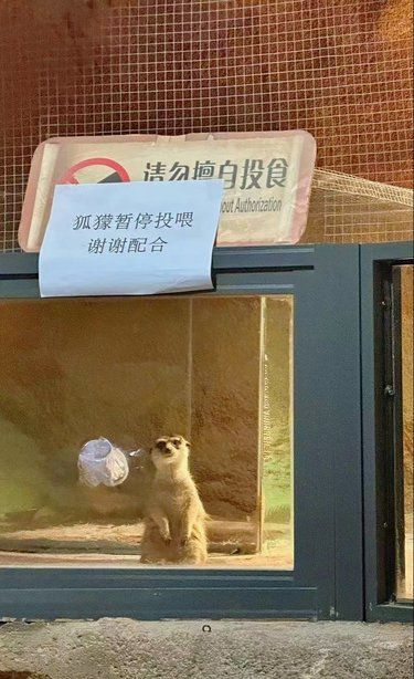看不懂字的她根本不知道发生了什么