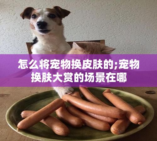 怎么将宠物换皮肤的;宠物换肤大赏的场景在哪