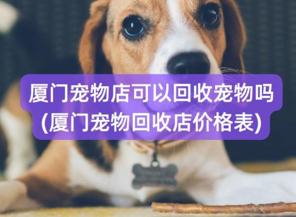 宠物狗