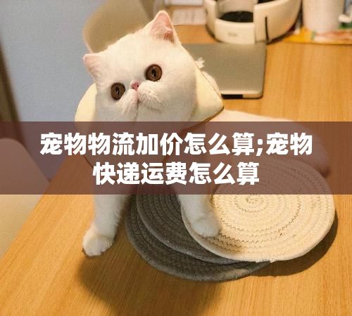 宠物物流加价怎么算;宠物快递运费怎么算