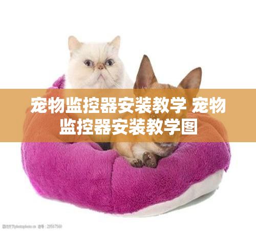 宠物监控器安装教学 宠物监控器安装教学图