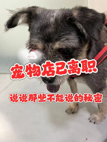 宠物店已离职‼️说说那些不能说的事情