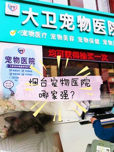 毛孩子食欲不振？大卫宠物医院来帮忙！