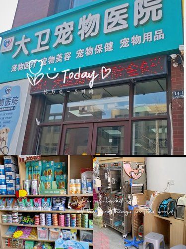 带着毛孩子体检的一天