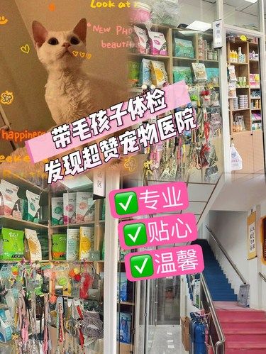 烟台 ｜带毛孩子体检，发现超赞宠物医院