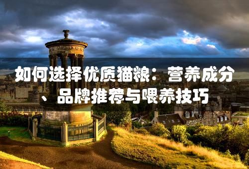 如何选择优质猫粮：营养成分、品牌推荐与喂养技巧