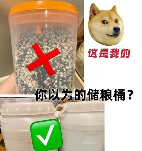 宠物猫是否适合喝桶装水（探究猫咪喝桶装水的利弊与注意事项）