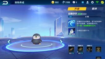 飞车手游宠物卡盟(图1)